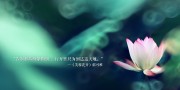 1958年世界杯：解析那届瑞典世界杯如何开启了电视转播的新纪元。