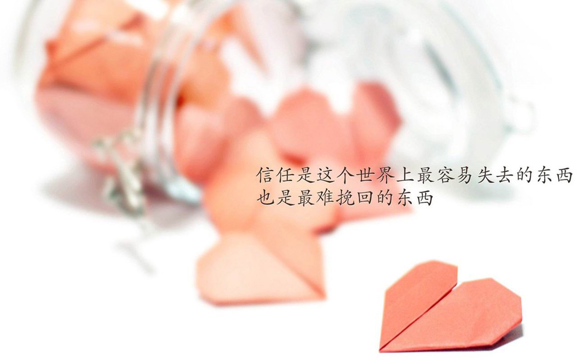 世界帆板锦标赛：中国队稳步进入决赛圈，2021年帆板比赛